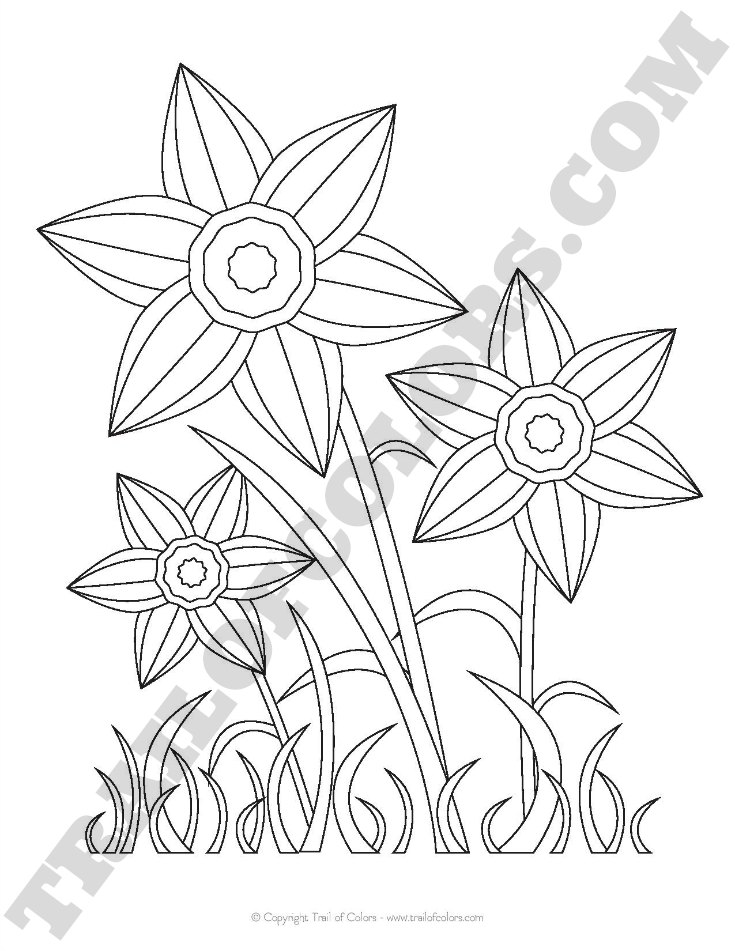 daffodil coloring pages for kids - photo #42