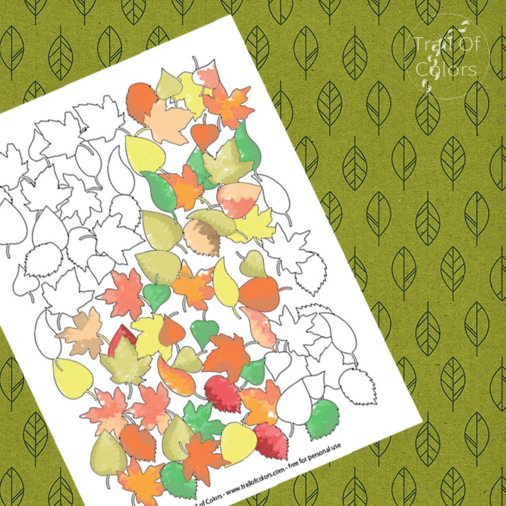 Fall Leaves Coloring Page for Adults