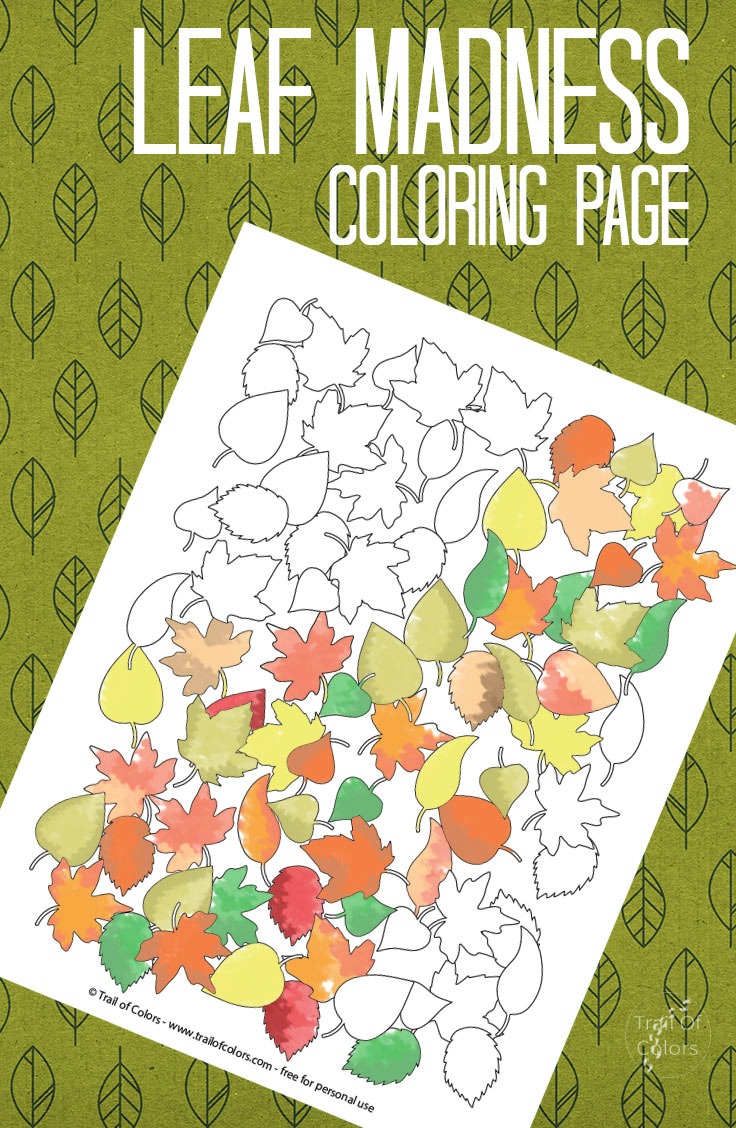 Fall Leaves Coloring Page for Grown ups