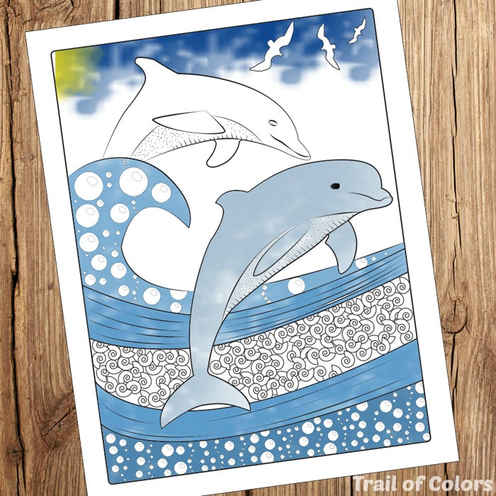 Dolphin Coloring Page for Grown ups