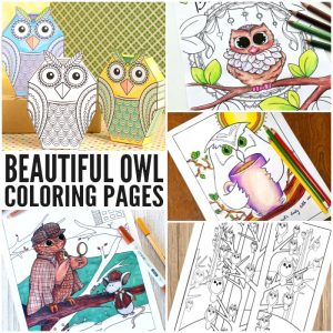 Beautiful Owl Coloring Pages