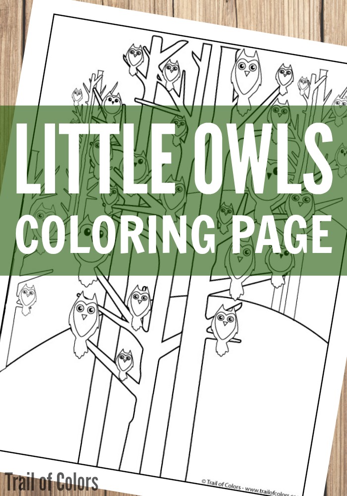 Cute Owls Coloring Page for Grown Ups and Kids