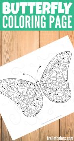 Free Printable Butterfly Coloring Page
