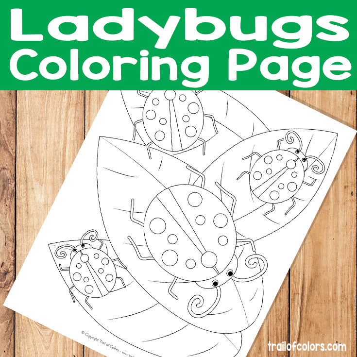 Ladybugs Coloring Page