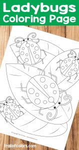 Free Printable Ladybugs Coloring Page
