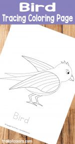 Printable Bird Tracing Coloring Page