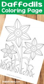 Daffodils Coloring Page for Kids – free printable