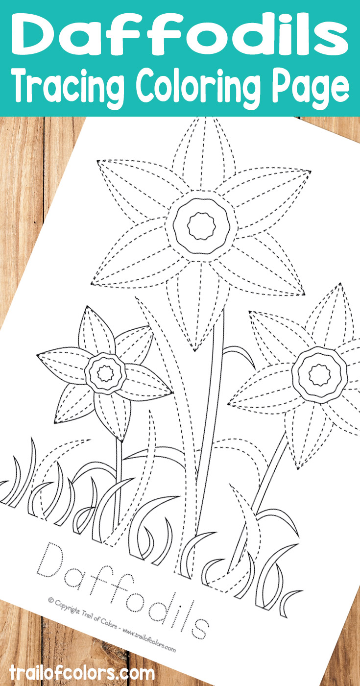 Daffodils Tracing Coloring Page for Kids