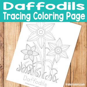 Daffodils Tracing Coloring Page