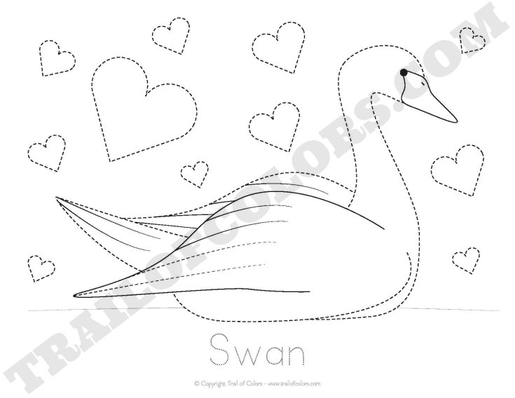 Swan Tracing Coloring Page - Free Printable