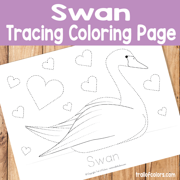 Swan Tracing Coloring Page