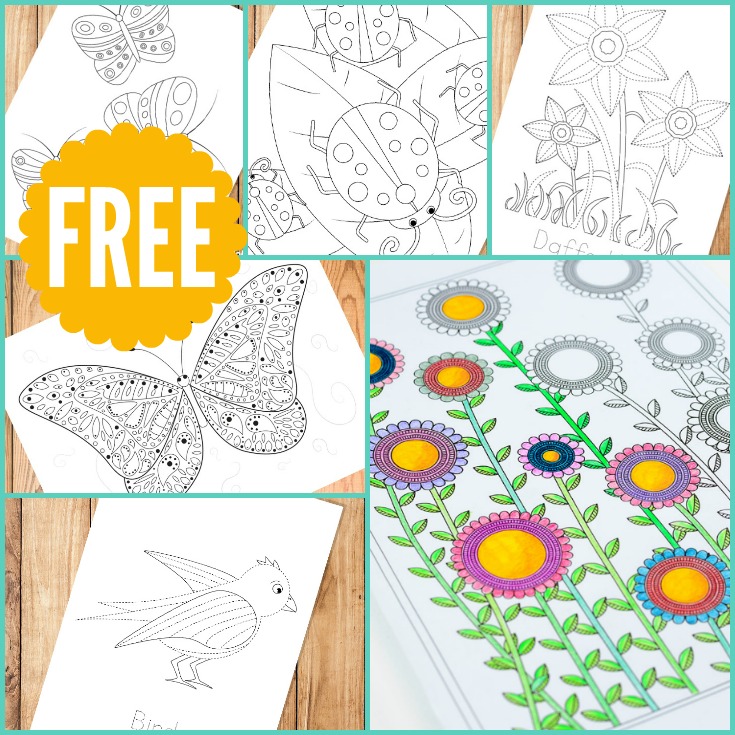Spring Coloring Pages for Grown Ups and Kids