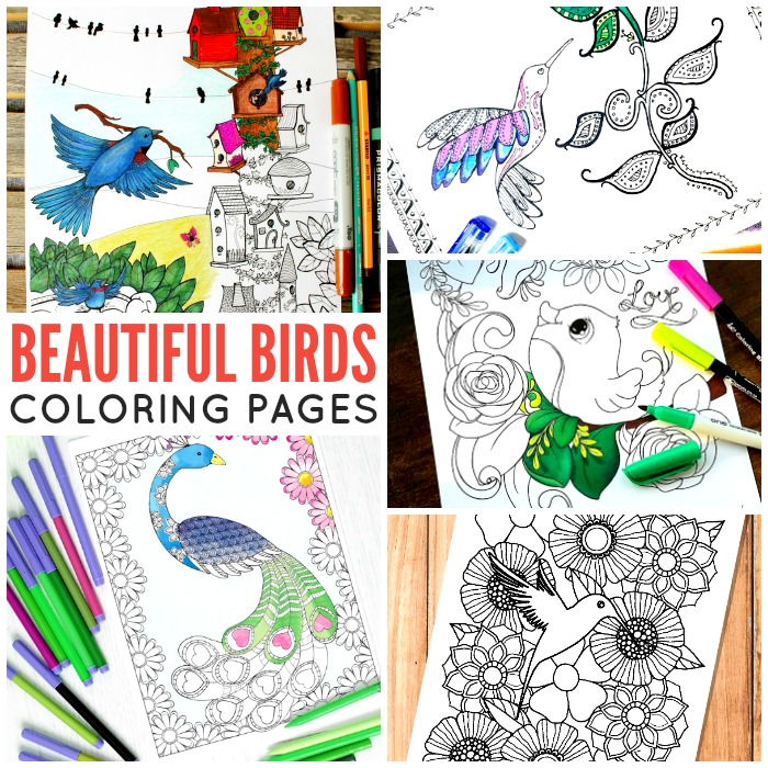 Beautiful Birds Coloring Pages for Adults