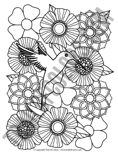 Bird Coloring Page for Adults