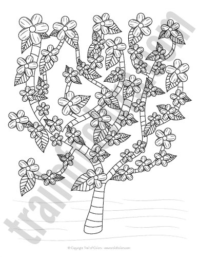 Cherry Tree Coloring Page for Kids and Adults