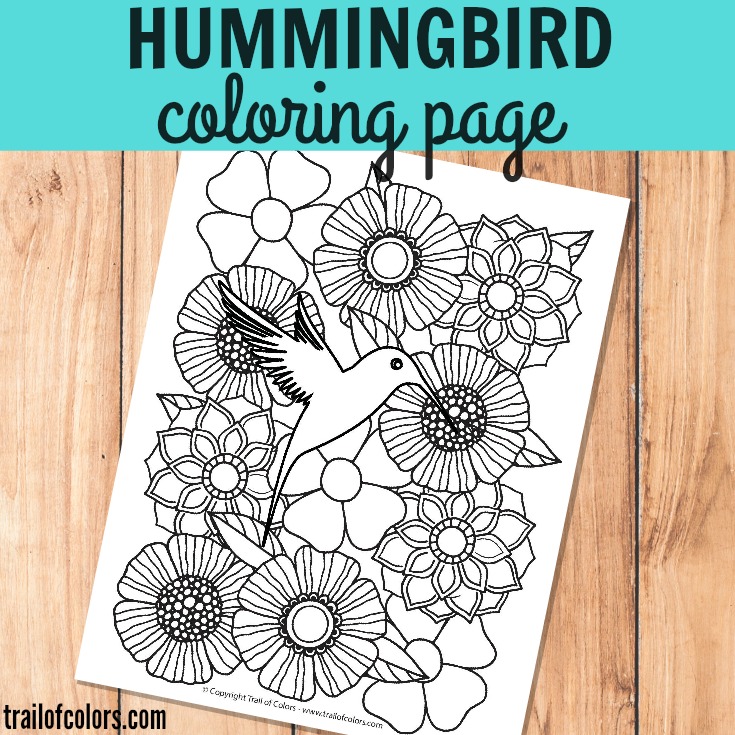 Hummingbird Coloring Page for Grown Ups