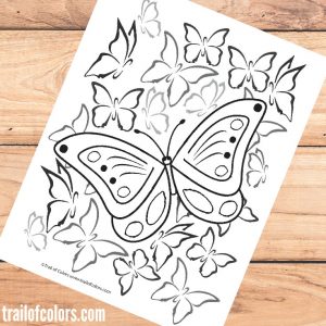 Free Printable Butterfly Coloring Page for Grown Ups