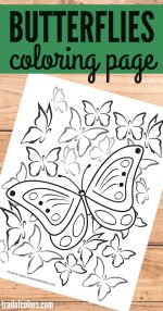 Butterfly Coloring Page for Grown Ups
