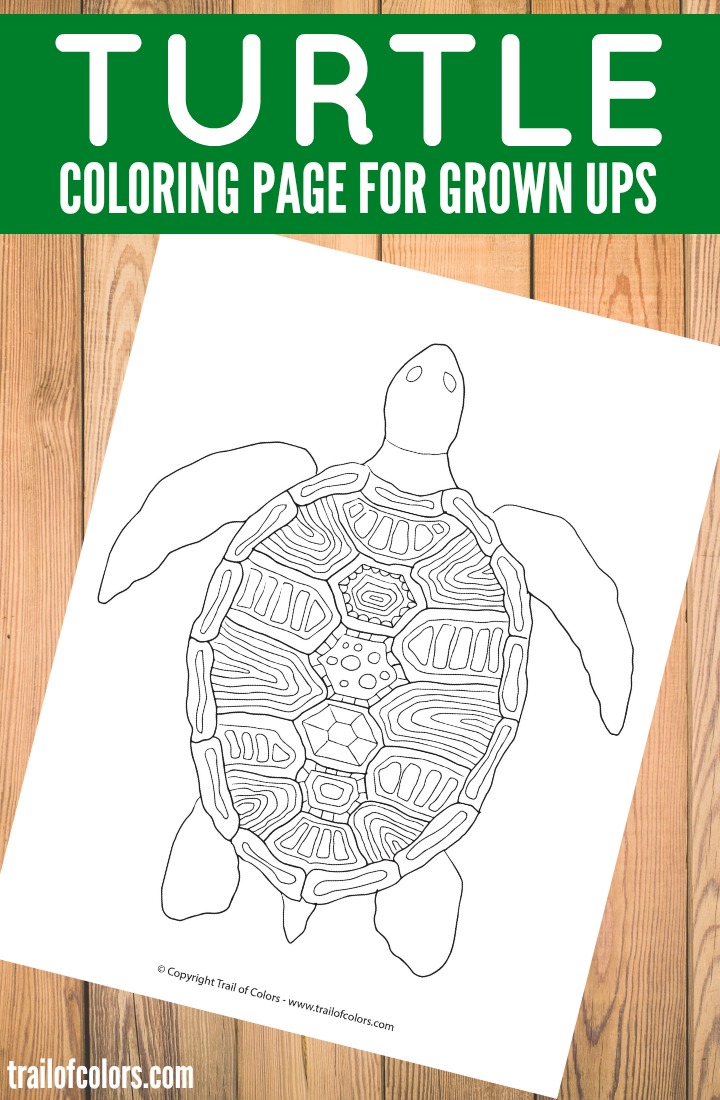 Turtle Coloring Page for Grown Ups